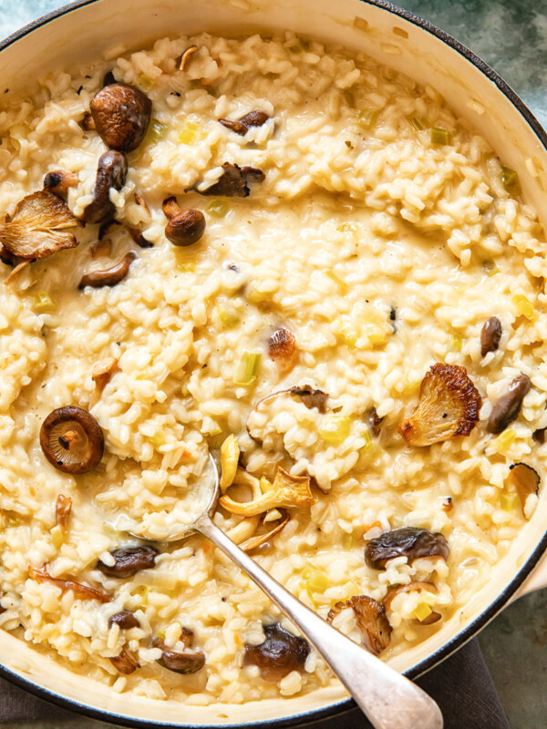 Close up shot of Truffle risotto in a bowl with a spoon