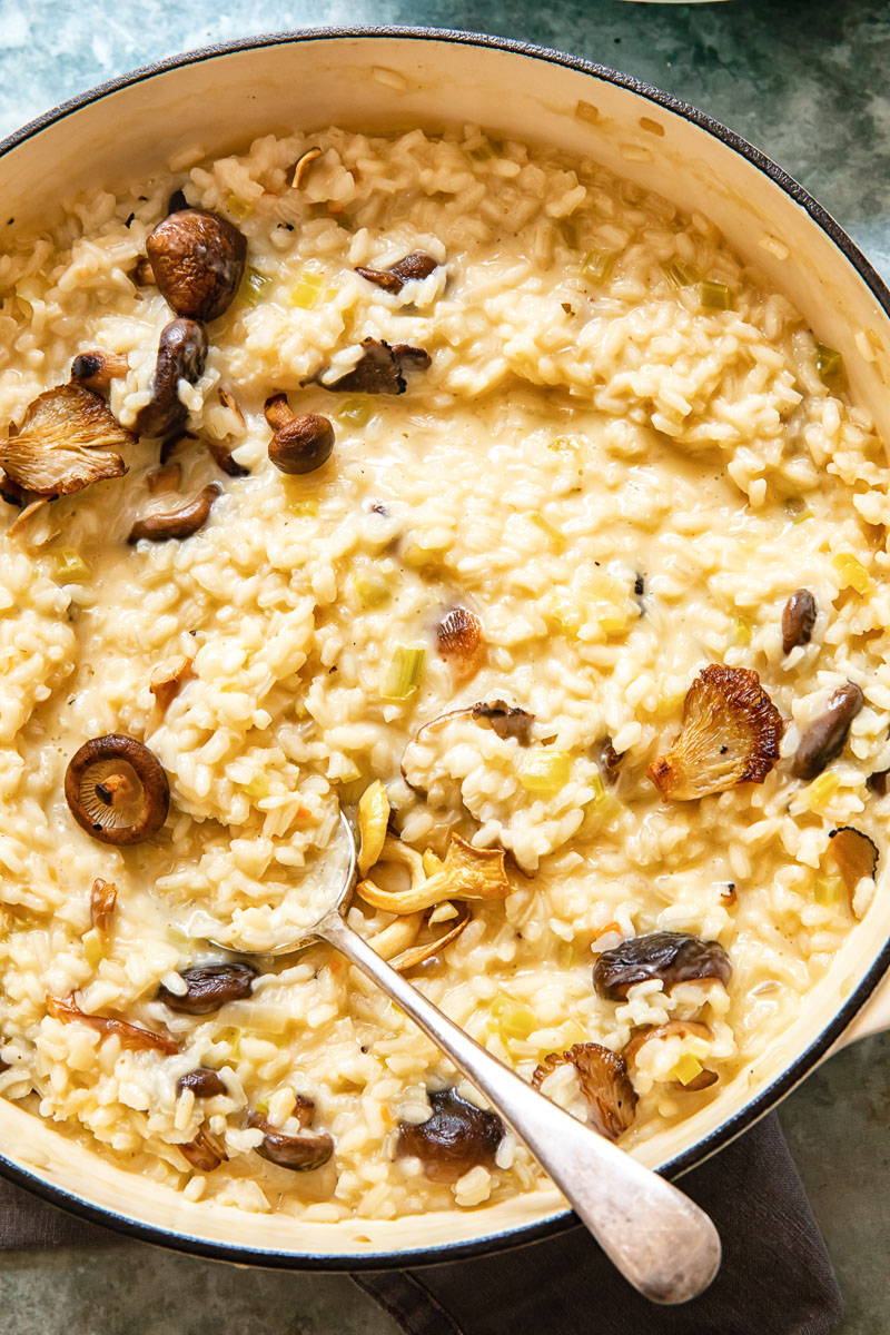 Close up shot of Truffle risotto in a bowl with a spoon