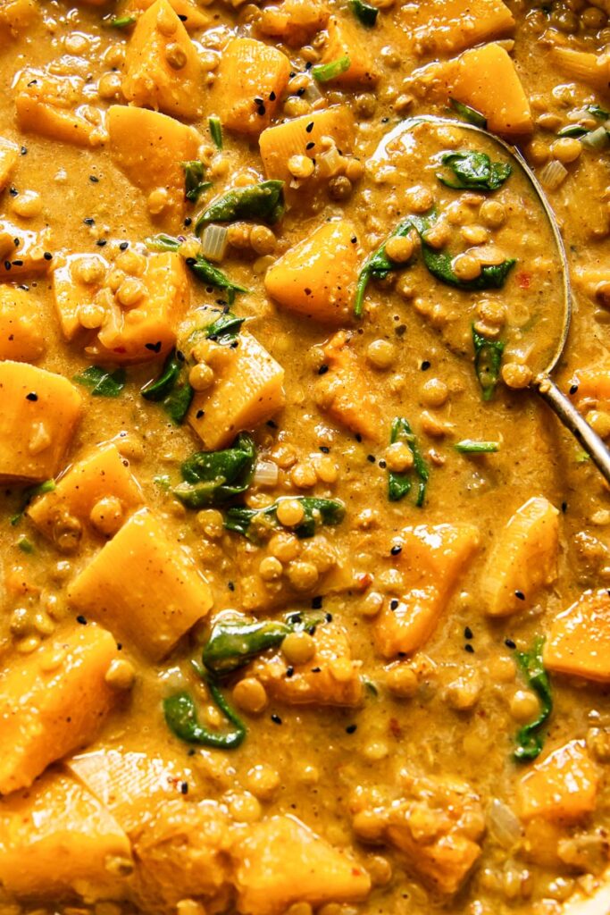 Close up of vegan coconut lentil curry