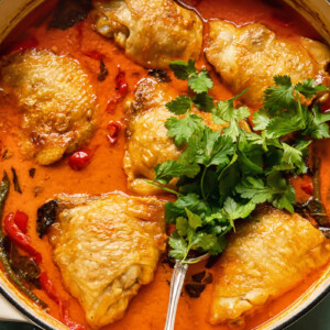 top down view of the braised coconut curry with chicken thighs and a bunch of parsley
