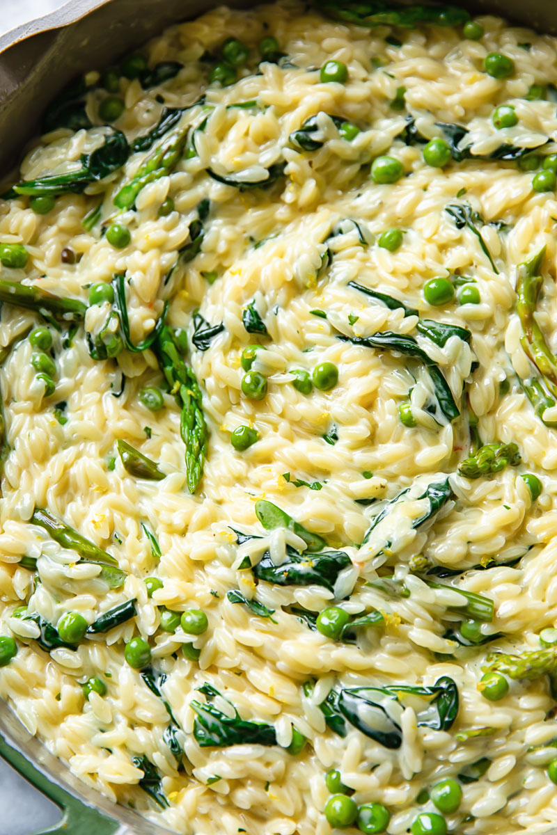 Creamy Orzo Pasta Primavera - Vikalinka