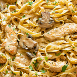 Close up shot of fettucine pasta with mushrooms and chicken strips in a creamy marsala sauce
