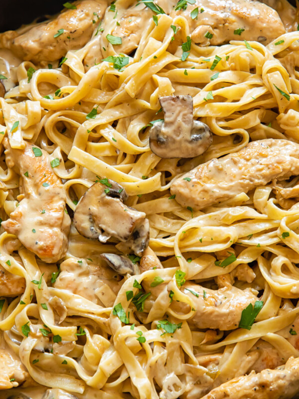 Close up shot of fettucine pasta with mushrooms and chicken strips in a creamy marsala sauce