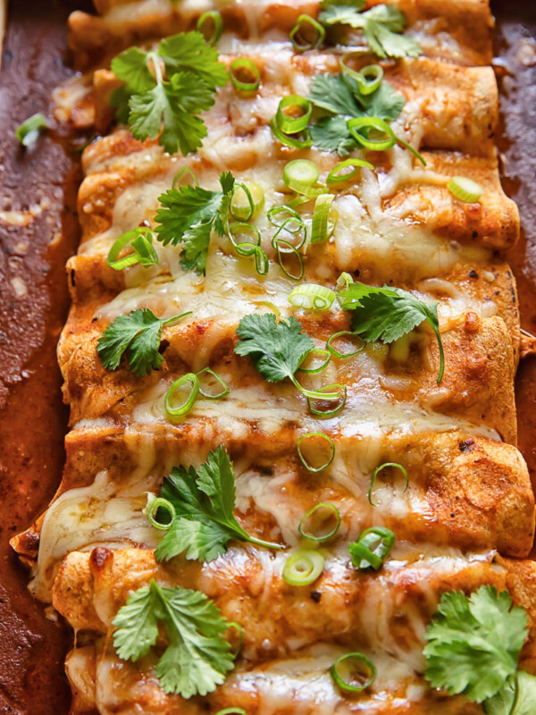 Close up shot of a row of chicken enchiladas in a baking dish topped with melted cheese and fresh herbs