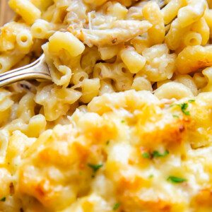 Close up shot of a bite of crab mac and cheese from a baking dish