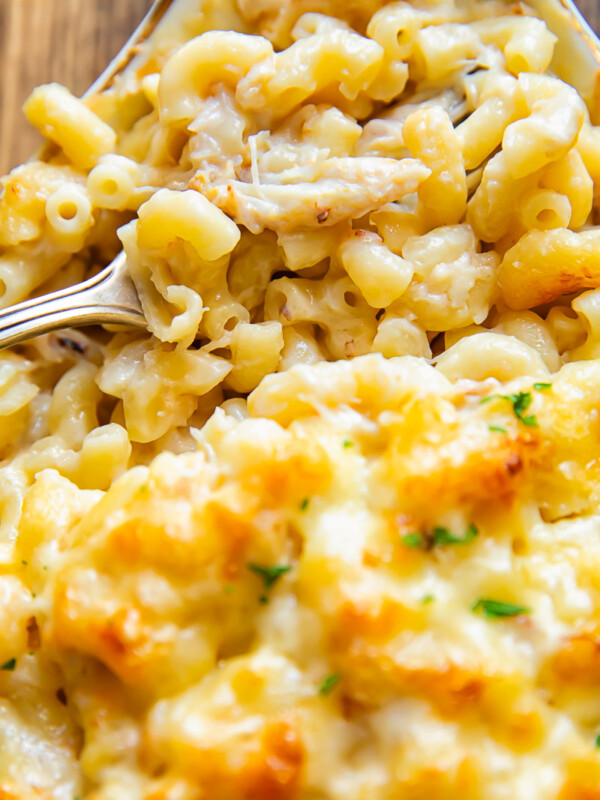 Close up shot of a bite of crab mac and cheese from a baking dish
