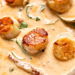Close up shot of scallops in creamy marry me sauce