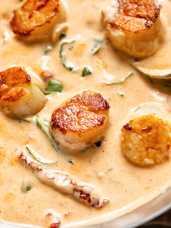 Close up shot of scallops in creamy marry me sauce