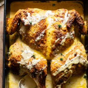 Top down shot of spatchcock chicken in a baking tray with creamy mustard sauce
