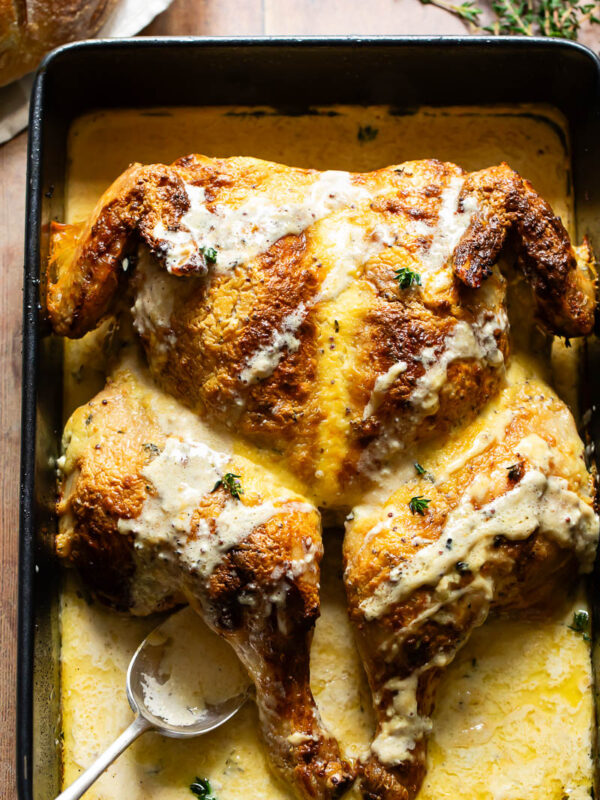 Top down shot of spatchcock chicken in a baking tray with creamy mustard sauce