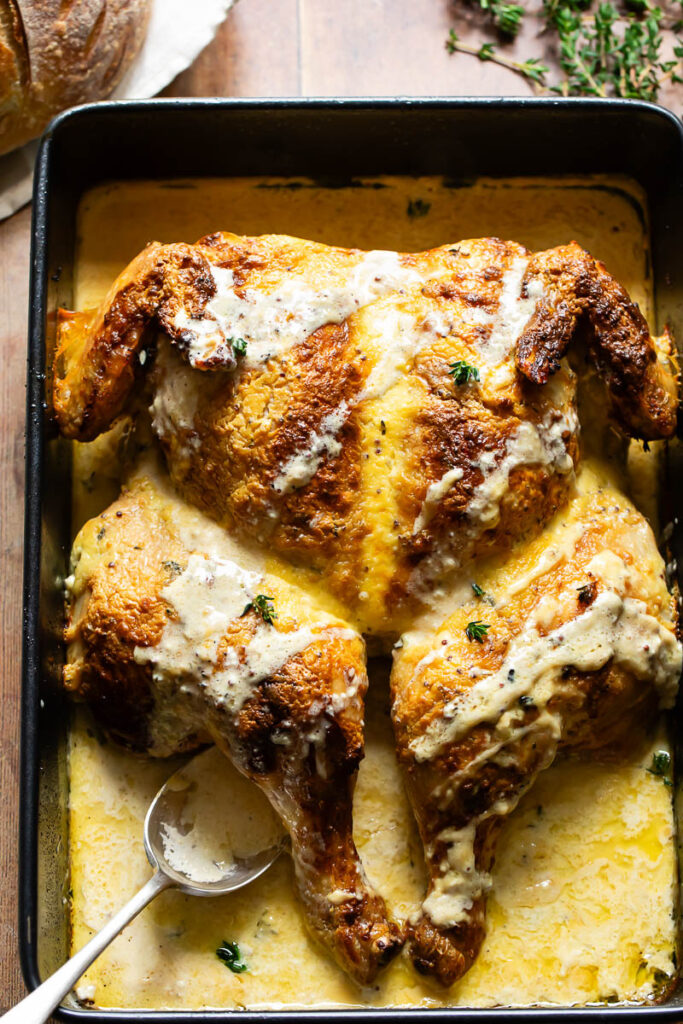 Top down shot of spatchcock chicken in a baking tray with creamy mustard sauce