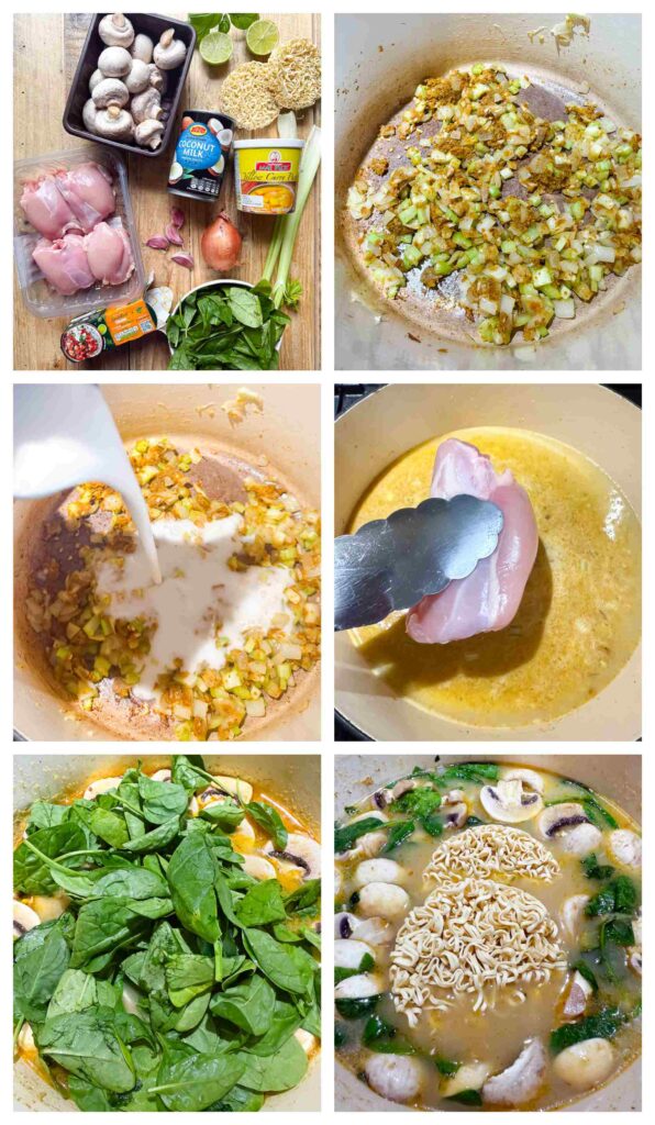 Process shots of chicken and veg being prepped then cooked into soup