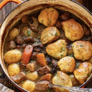 stop dow view of a beef stew with dumplings