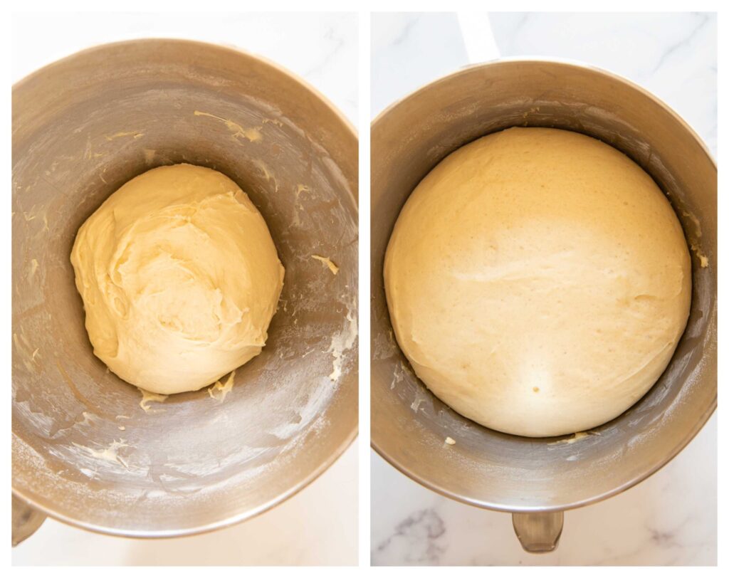 yeasted dough process before and after proofing